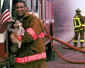 Rescue Rover Says "Don't Leave Pets Home Without Them!"