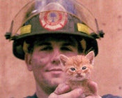 Rescue Rover Says "Don't Leave Pets Home Without Them!"