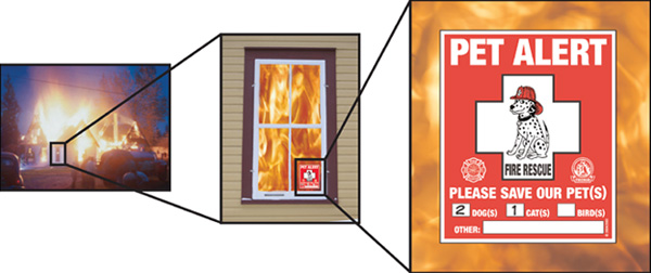 PET ALERT - PLEASE SAVE OUR PET (S)